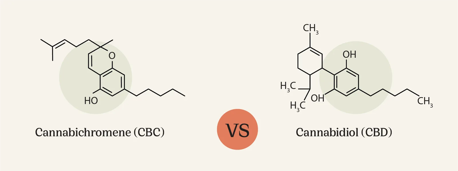 What Is CBC and How Is It Different From CBD?
