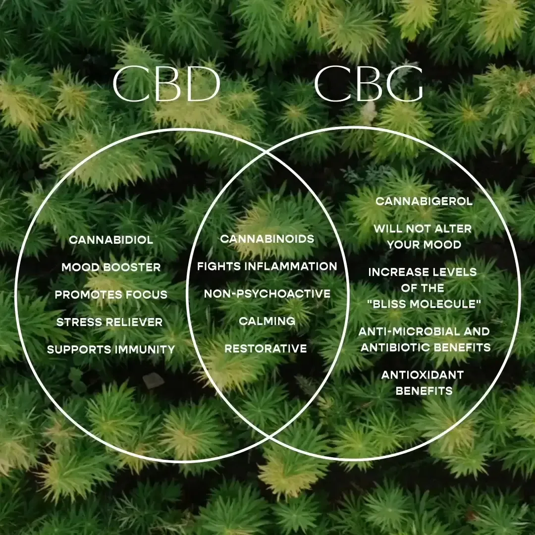 What Is CBG and How Is It Different From CBD?