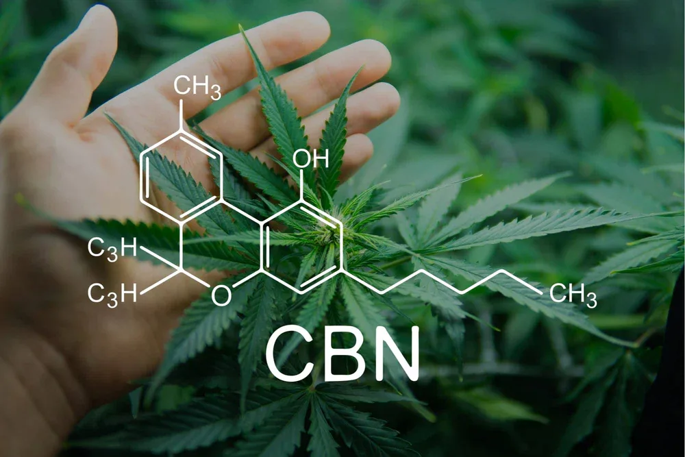 What Is CBN and How Is It Different From CBD?