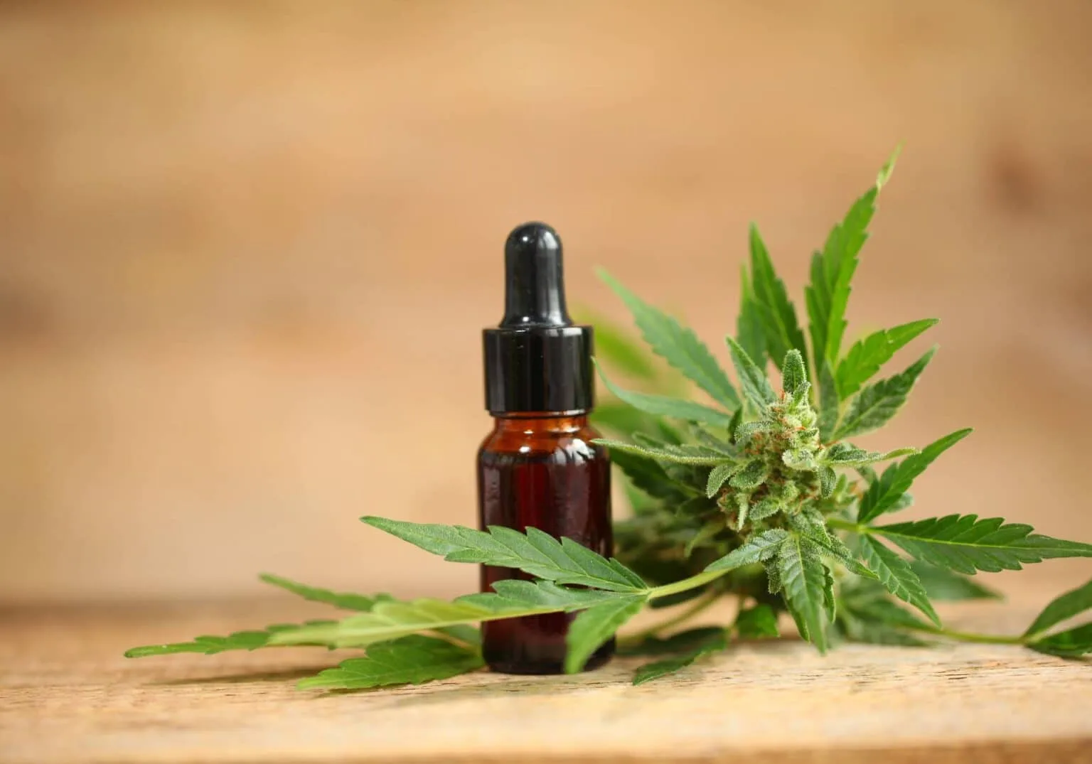 What Is THC and How Is It Different From CBD?