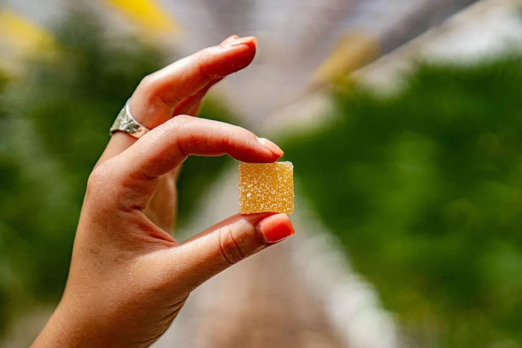 How to Check Fast-Acting Hemp THC Edibles Before You Buy