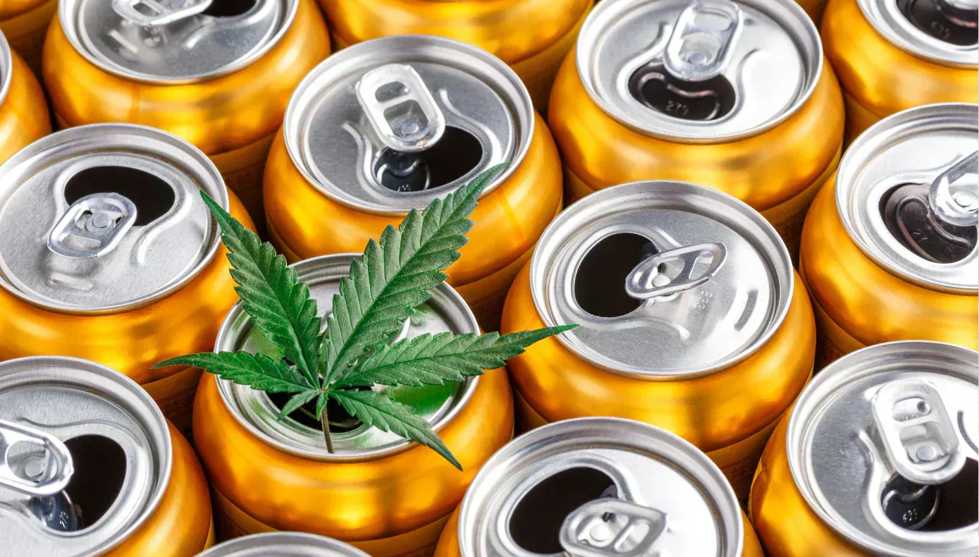 How to Compare Hemp THC Drinks, Gummies, and Oils Before You Buy